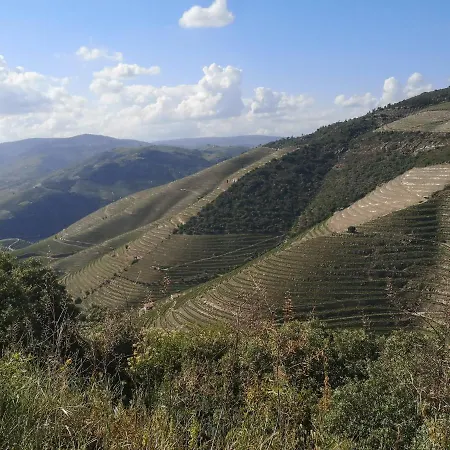 Douro Valley - Casa Da Praca בית נופש Ervedosa do Douro