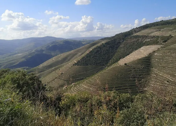 Douro Valley - Casa Da Praca Дом отдыха Ervedosa do Douro